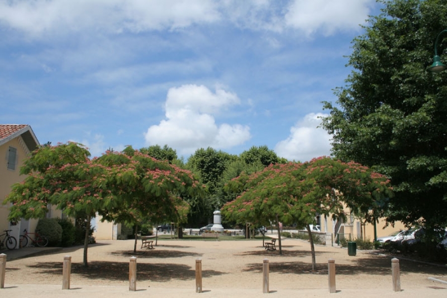 Parcours de promenade documentés